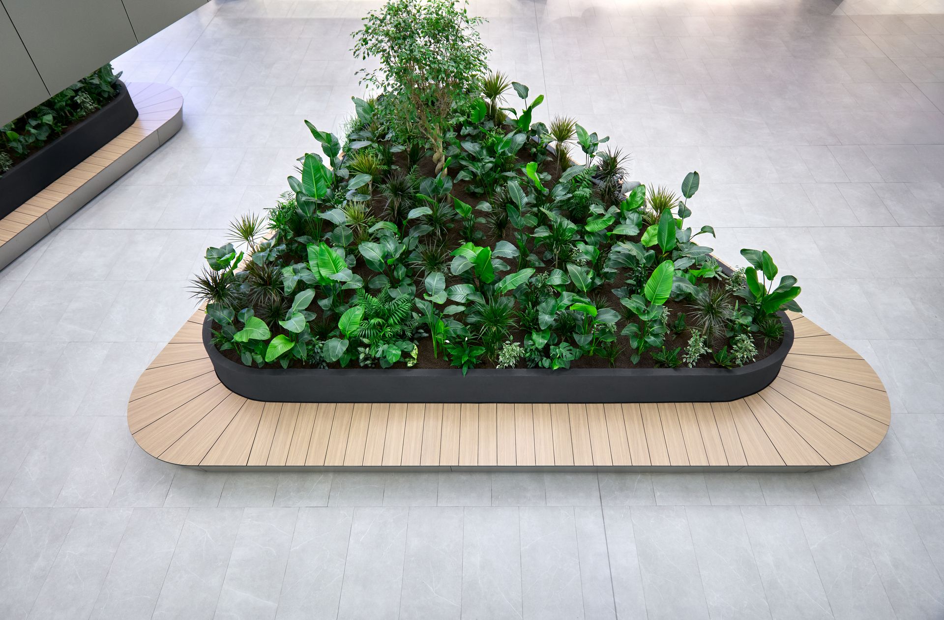Detaliu interior: jardinieră cu plante verzi amplasată pe pardoseală, Arena Mall Bacău